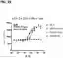 Fig. 60 - Microorganisms programmed to produce immune modulators and anti-cancer therapeutics in tumor cells