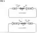 Fig. 02 - GENETICALLY ENGINEERED VACCINIA VIRUSES
