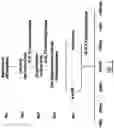 Fig. 02 - Method and composition for a protein transduction technology and its applications