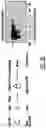 Fig. 09 - Method and composition for a protein transduction technology and its applications