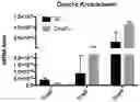 Fig. 01 - Compositions and methods for modulating ciliogenesis