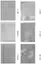 Fig. 02 - Compositions and methods for modulating ciliogenesis