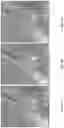 Fig. 03 - Compositions and methods for modulating ciliogenesis