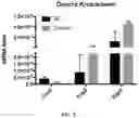 Fig. 04 - Compositions and methods for modulating ciliogenesis