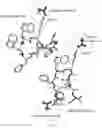 Fig. 03 - Pharmaceutical compositions of water soluble peptides with poor solubility in isotonic conditions and methods for their use