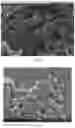 Fig. 13 - Pharmaceutical compositions of water soluble peptides with poor solubility in isotonic conditions and methods for their use