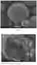 Fig. 14 - Pharmaceutical compositions of water soluble peptides with poor solubility in isotonic conditions and methods for their use