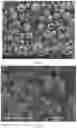Fig. 16 - Pharmaceutical compositions of water soluble peptides with poor solubility in isotonic conditions and methods for their use
