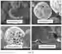 Fig. 17 - Pharmaceutical compositions of water soluble peptides with poor solubility in isotonic conditions and methods for their use