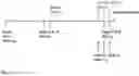 Fig. 02 - Methods for treating inflammatory conditions of the lungs