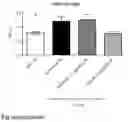 Fig. 09 - Methods for treating inflammatory conditions of the lungs