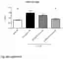 Fig. 12 - Methods for treating inflammatory conditions of the lungs