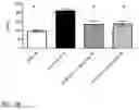 Fig. 22 - Methods for treating inflammatory conditions of the lungs