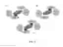 Fig. 07 - Compositions and methods for modulating IL-10 immunostimulatory and anti-inflammatory properties