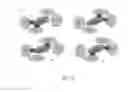 Fig. 08 - Compositions and methods for modulating IL-10 immunostimulatory and anti-inflammatory properties