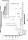 Fig. 02 - MODIFIED HYALURONIDASES AND USES IN TREATING HYALURONAN-ASSOCIATED DISEASES AND CONDITIONS