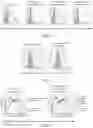Fig. 04 - IMMUNIZING PEPTIDE, METHOD FOR PRODUCING IMMUNIZING PEPTIDE, PHARMACEUTICAL COMPOSITION FOR IMMUNE DISEASE CONTAINING SAME, AND METHOD FOR TREATING IMMUNE DISEASE