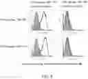 Fig. 05 - IMMUNIZING PEPTIDE, METHOD FOR PRODUCING IMMUNIZING PEPTIDE, PHARMACEUTICAL COMPOSITION FOR IMMUNE DISEASE CONTAINING SAME, AND METHOD FOR TREATING IMMUNE DISEASE