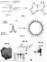Fig. 02 - Universal vaccine platform