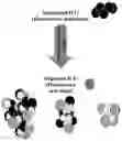 Fig. 01 - Self-assembled drug-loading system and preparation method therefor