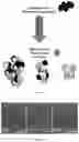 Fig. 02 - Self-assembled drug-loading system and preparation method therefor