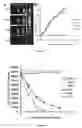 Fig. 04 - Self-assembled drug-loading system and preparation method therefor