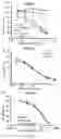 Fig. 06 - Self-assembled drug-loading system and preparation method therefor