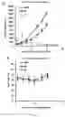 Fig. 09 - Self-assembled drug-loading system and preparation method therefor