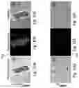 Fig. 09 - Magnetic separation using nanoparticles