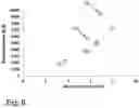 Fig. 05 - Medical hydrogel