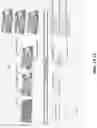 Fig. 02 - Thin film interposition of basement membrane scaffolds
