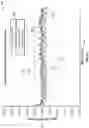 Fig. 33 - Devices and methods for providing a bolus dose in a microfluidic circuit of a pump