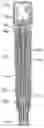 Fig. 01 - RE-LOADABLE AUTO INJECTOR