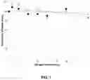 Fig. 02 - Botulinum toxin prefilled plastic syringe