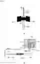 Fig. 04 - Gripper apparatus for cannulas