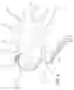 Fig. 07 - Neurovascular catheter having atraumatic angled tip