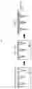 Fig. 02 - Soluble microneedle containing ingredient for controlling release of neurotransmitters
