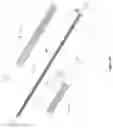 Fig. 09 - Apparatus and device to function as an electrical lead consisting of electrodes for neurological stimulation and signal recording