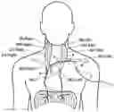 Fig. 01 - Systems and related methods for optimization of multi-electrode nerve pacing