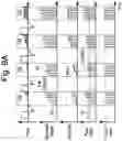 Fig. 09 - Systems and related methods for optimization of multi-electrode nerve pacing