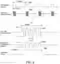 Fig. 03 - SYSTEMS AND METHODS FOR IMPLANTABLE LEADLESS TISSUE STIMULATION