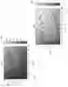 Fig. 07 - Methods of Controlling Lighting Systems for Light Related Health and Systems Incorporating the same