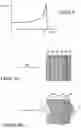 Fig. 02 - System and method for ion based radiotherapy treatment plan evaluation