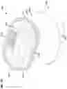 Fig. 47 - Filter arrangements; housings; assemblies; and, methods