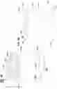 Fig. 48 - Filter arrangements; housings; assemblies; and, methods