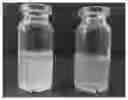 Fig. 01 - Process for producing a nano resveratrol microemulsion system