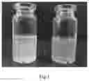 Fig. 02 - Process for producing a nano resveratrol microemulsion system