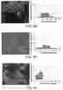 Fig. 09 - System and method for industrial encapsulation of thermolabile substances