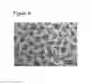 Fig. 07 - Multi-channel direct-deposit assembly method to high-throughput synthesize three-dimensional macroporous/mesoporous material array