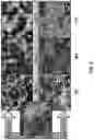 Fig. 04 - Highly active thermally stable nanoporous gold catalyst